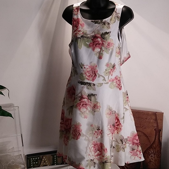 Gianni Bini - Picture 1 of 6